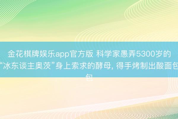 金花棋牌娱乐app官方版 科学家愚弄5300岁的“冰东谈主奥茨”身上索求的酵母， 得手烤制出酸面包