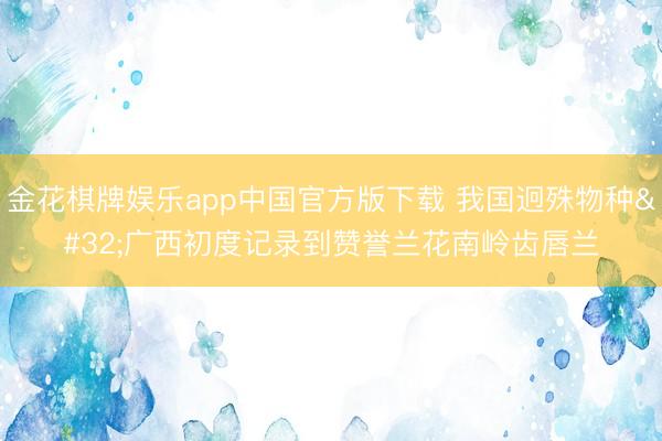 金花棋牌娱乐app中国官方版下载 我国迥殊物种 广西初度记录到赞誉兰花南岭齿唇兰